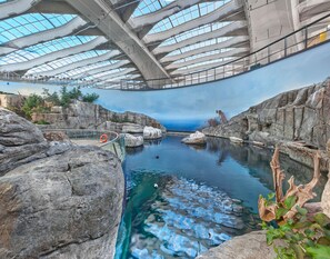 An indoor pool with clear water, surrounded by rock formations and a glass ceiling. - Holiday Inn Montreal Longueuil by IHG (Longueuil)