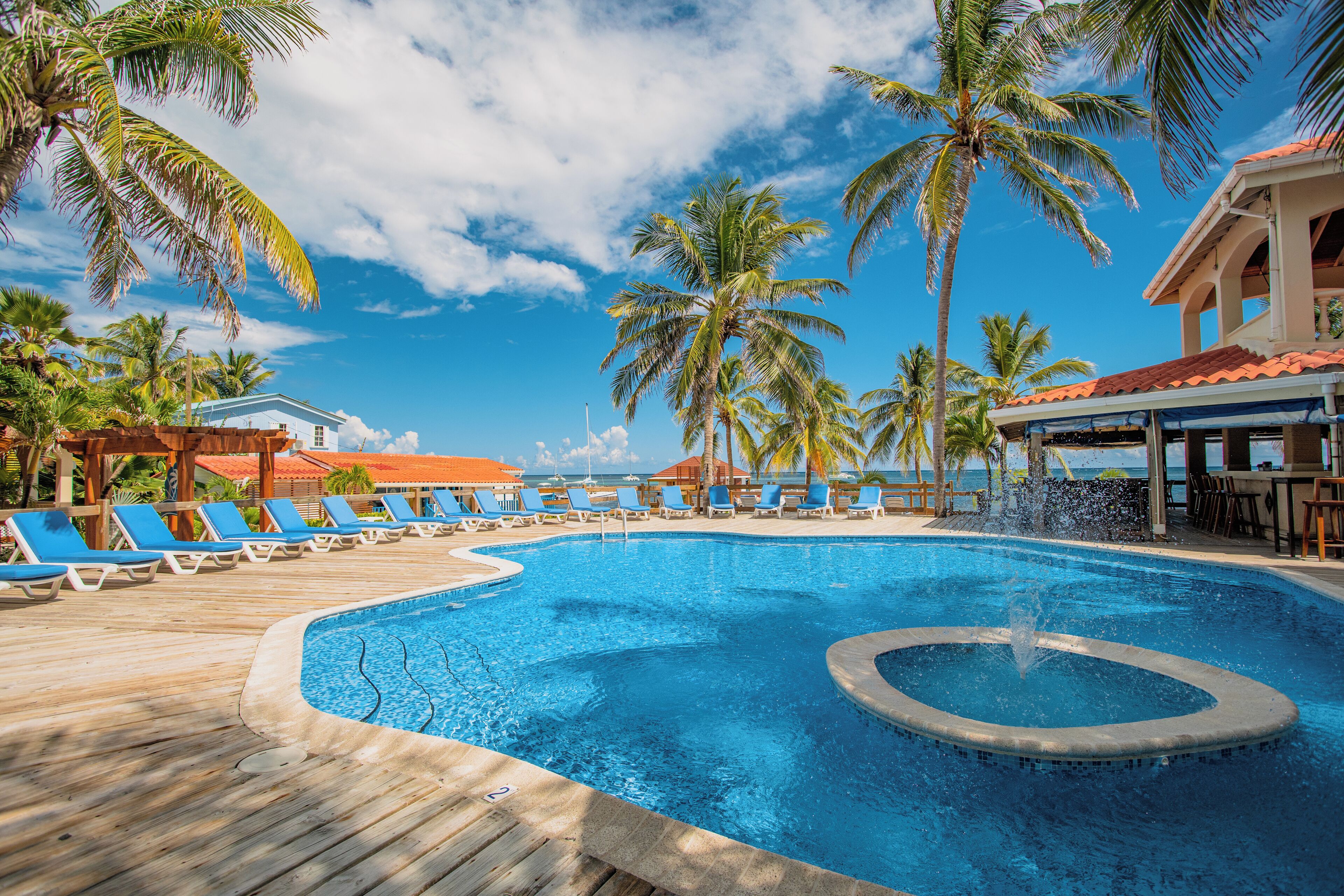 outdoor pool, pool loungers