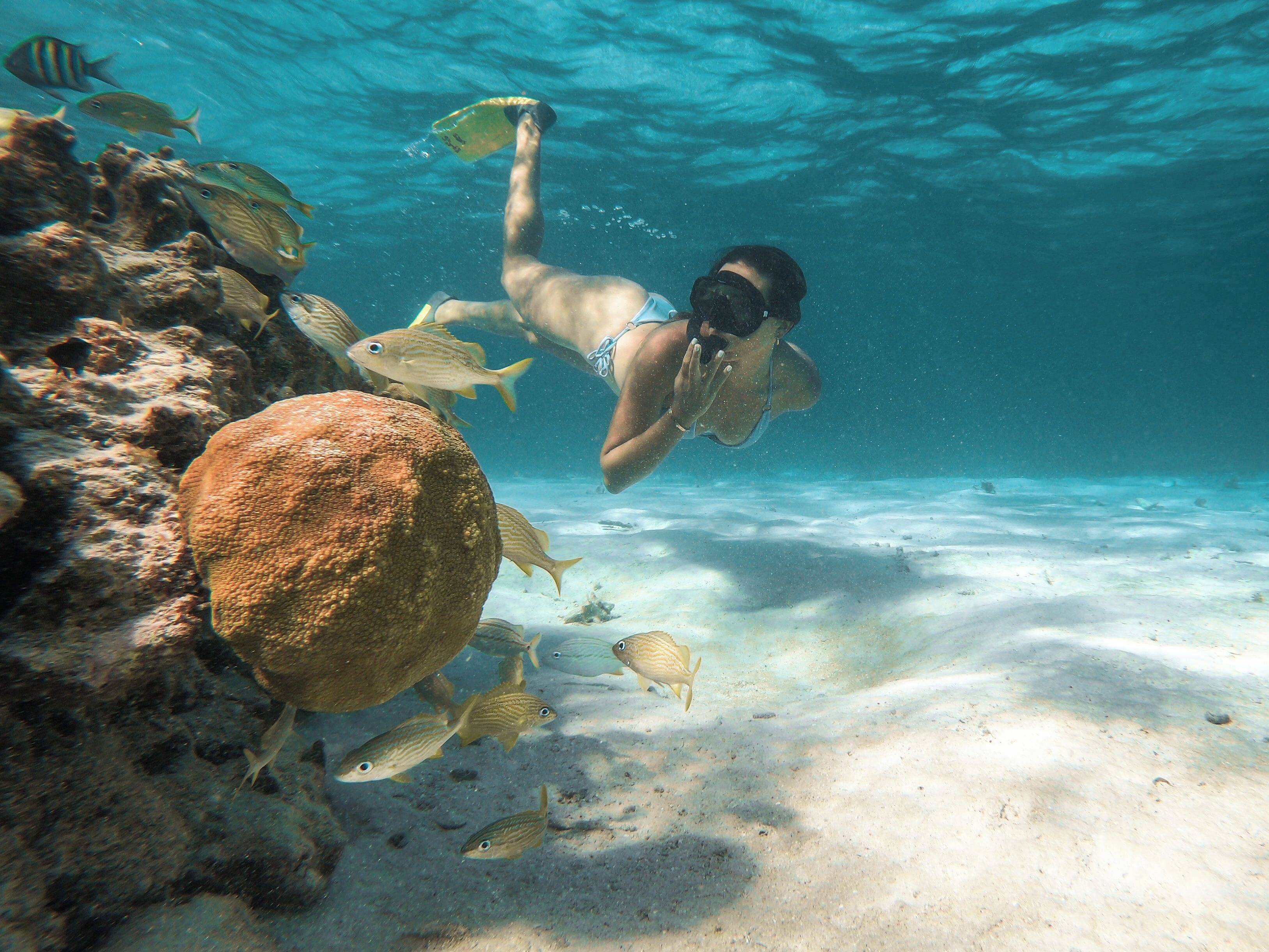 A diver underwater with fish and coral.
