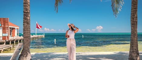 Escena de playa con una persona de pie cerca de palmeras, un muelle y una bandera.