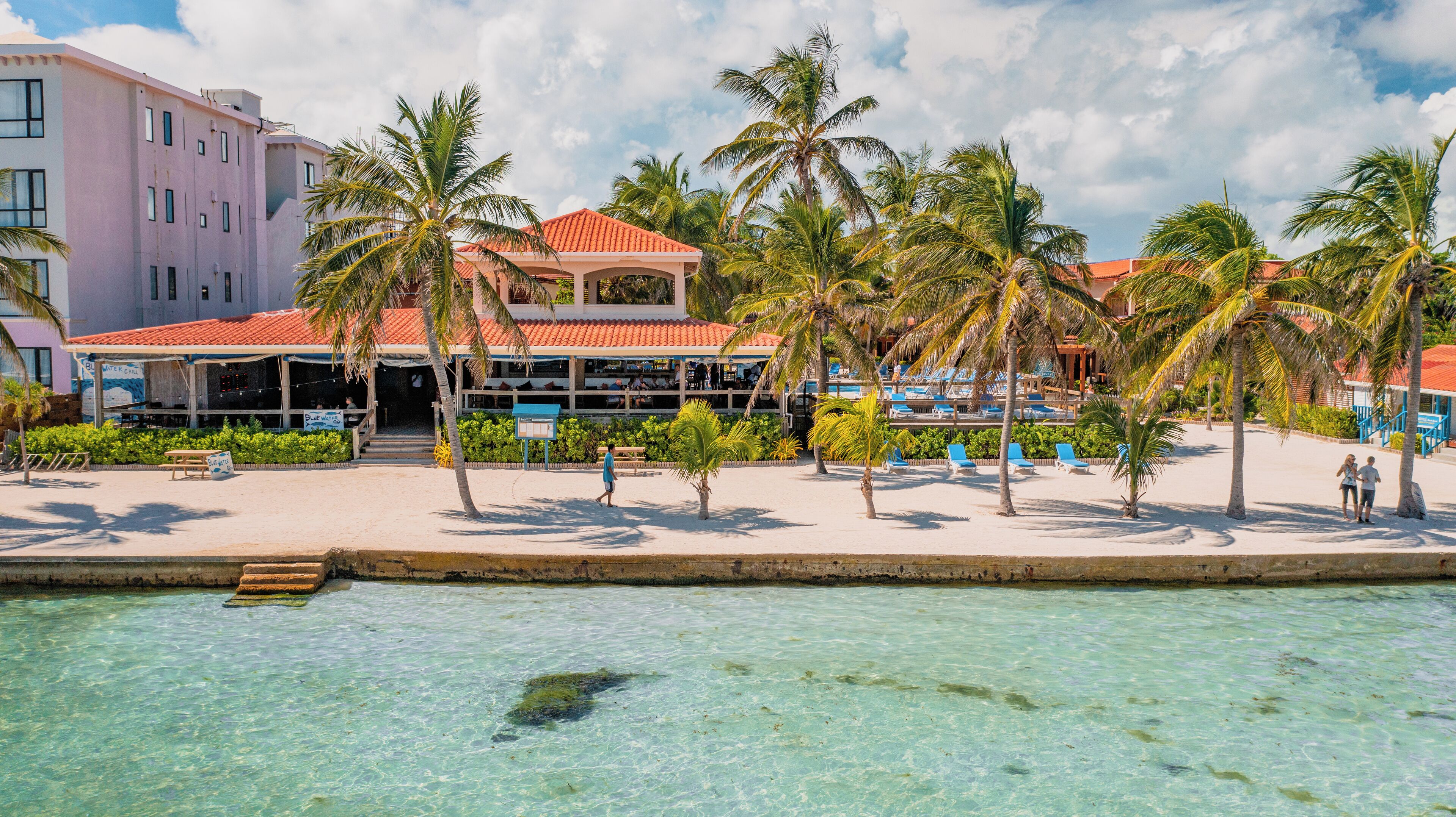 A beachfront hotel with a pool, palm trees, and a restaurant.