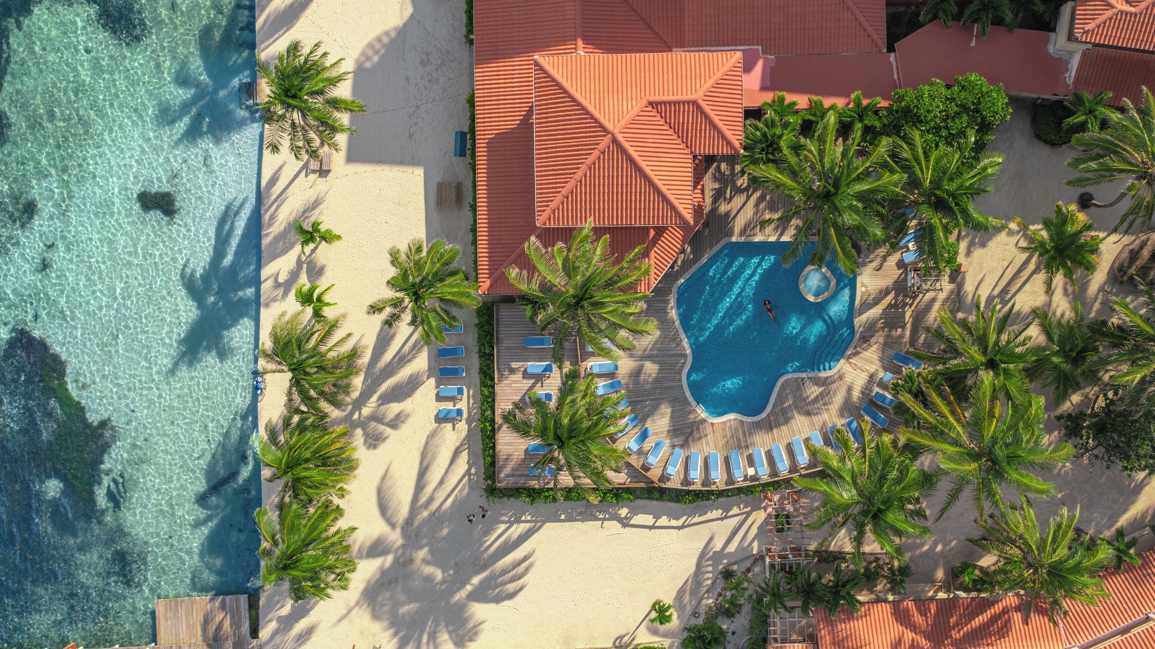 Vista aérea de un resort con piscina rodeada de palmeras y tumbonas.