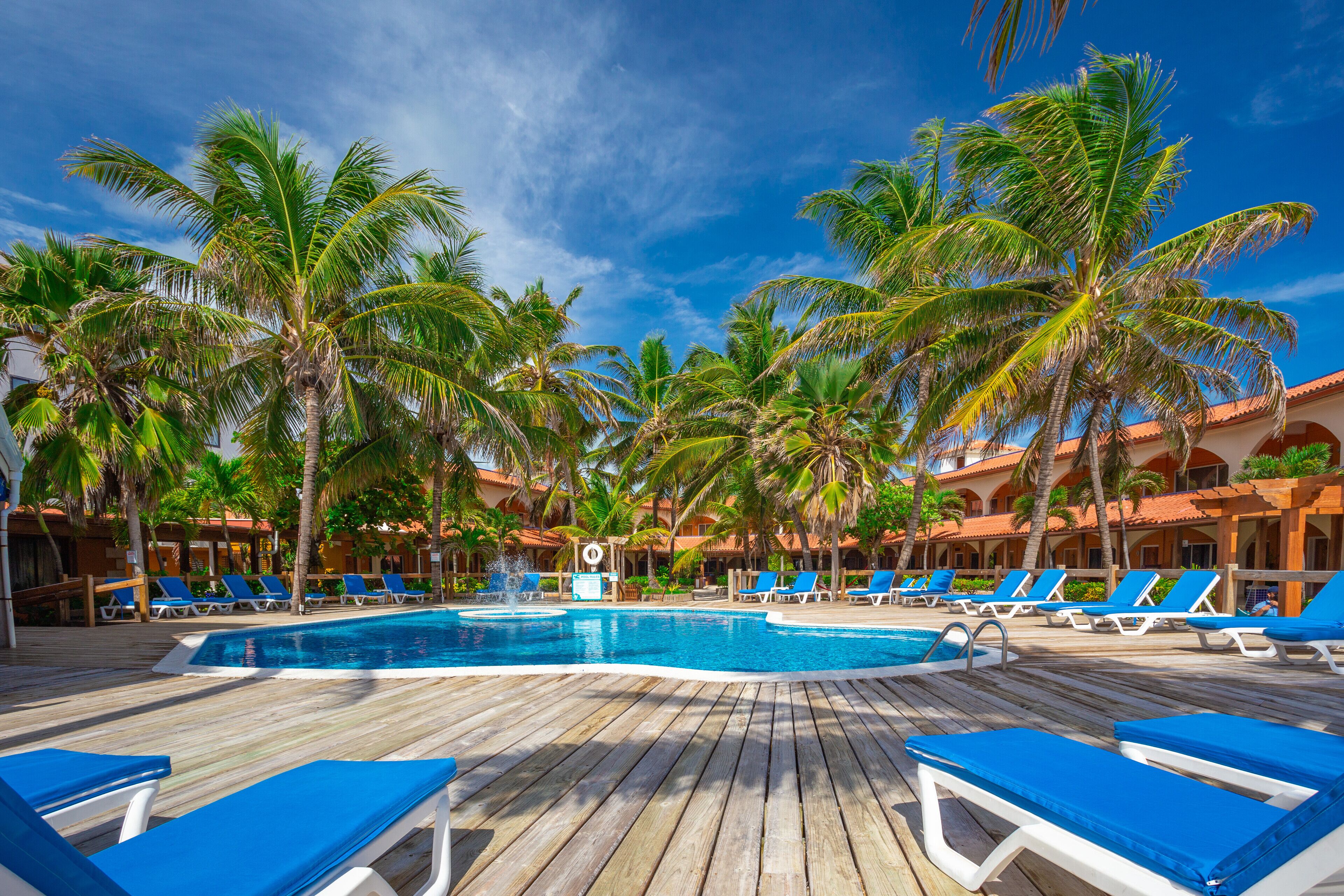 Un área junto a la piscina con sillones reclinables azules, una terraza de madera y palmeras.