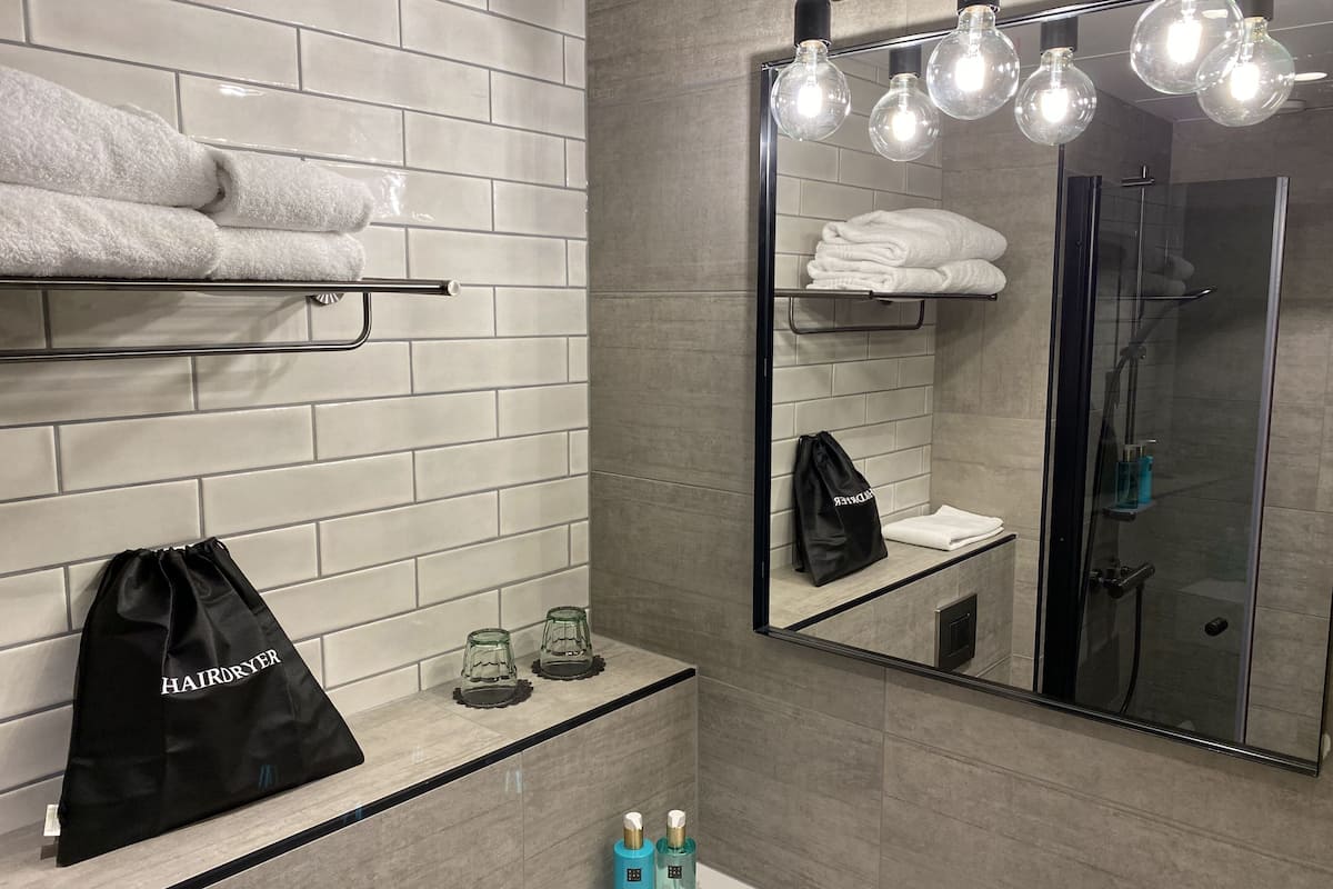 business twin room | bathroom | shower, towels, soap, shampoo