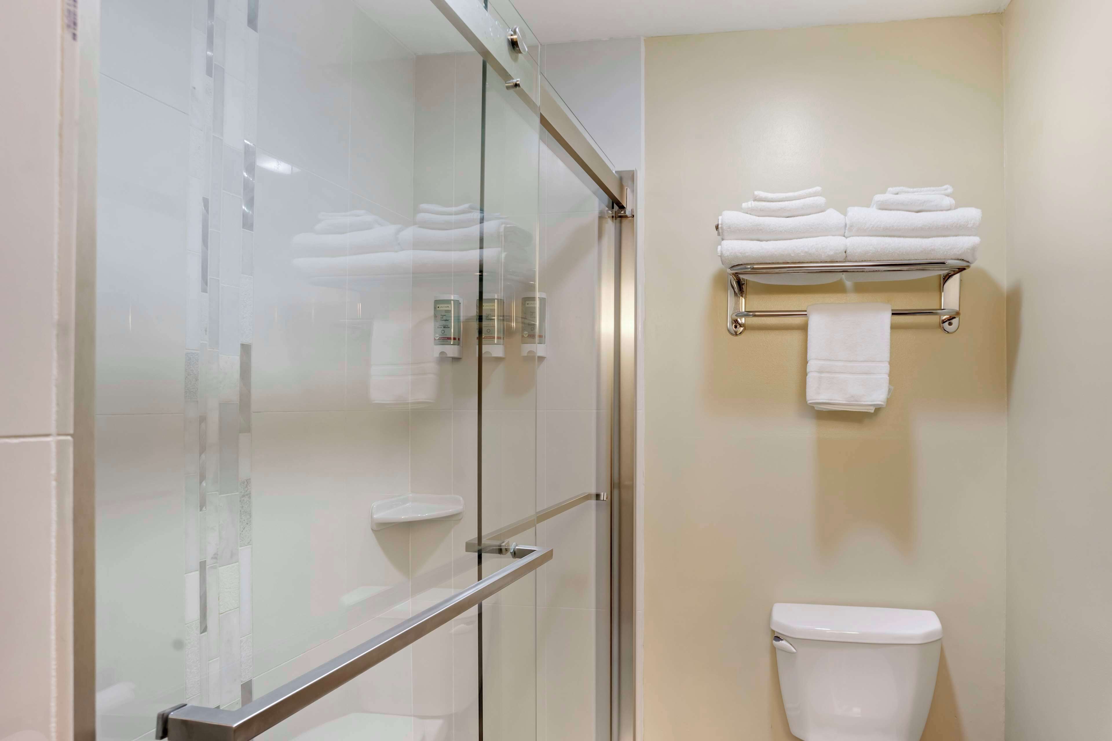 Standard Room, 1 Katil Raja (King), Non Smoking, Refrigerator & Microwave | Bilik Mandi | Pancuran mandi, pengering rambut, tuala disediakan 
