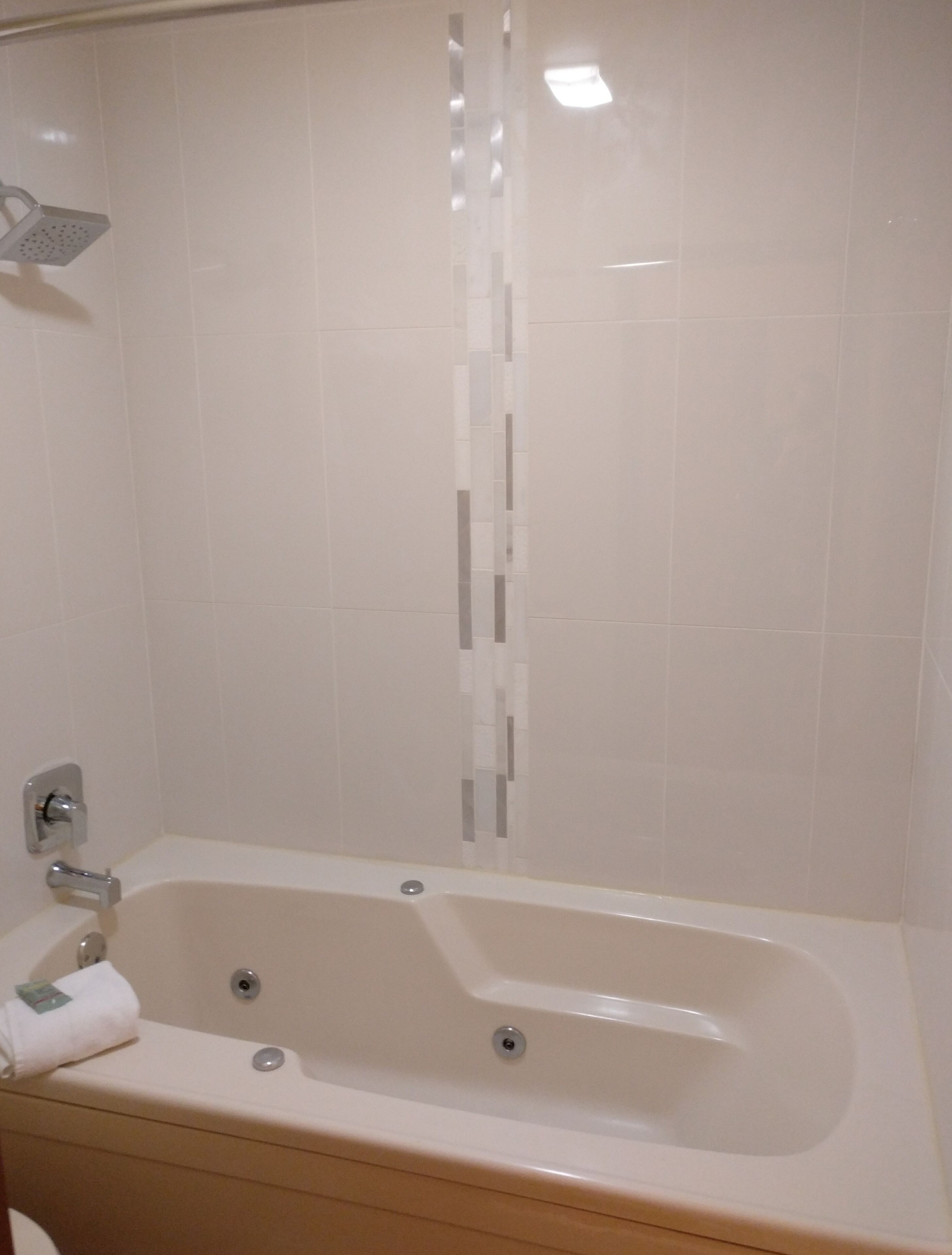 Een badkamer met een bad, een douchekop en een toilet.
