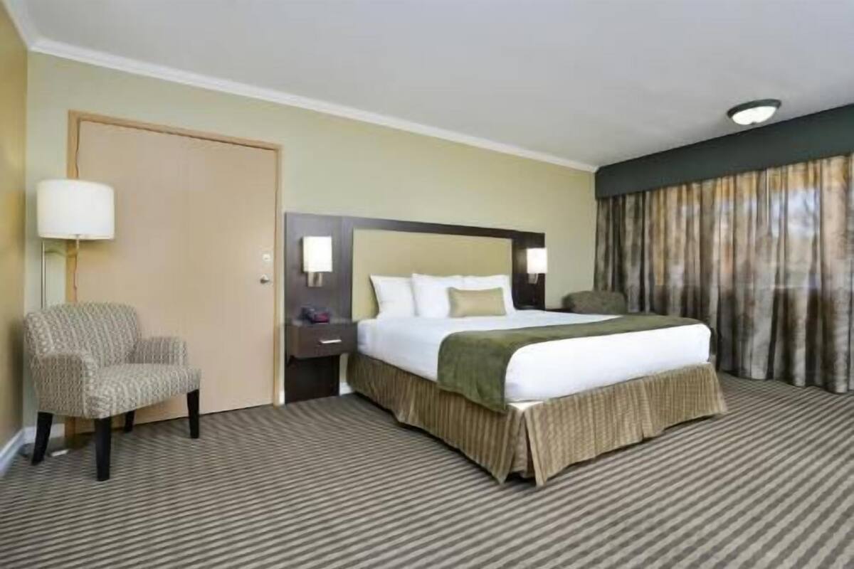 A hotel room with a bed, a chair, a nightstand, a lamp, and a window with curtains.