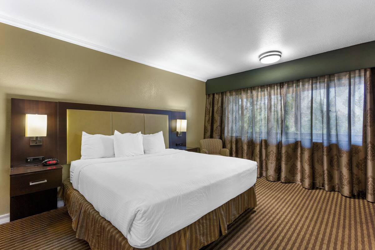 A hotel room with a large bed, a nightstand with a lamp, a chair, and curtains.