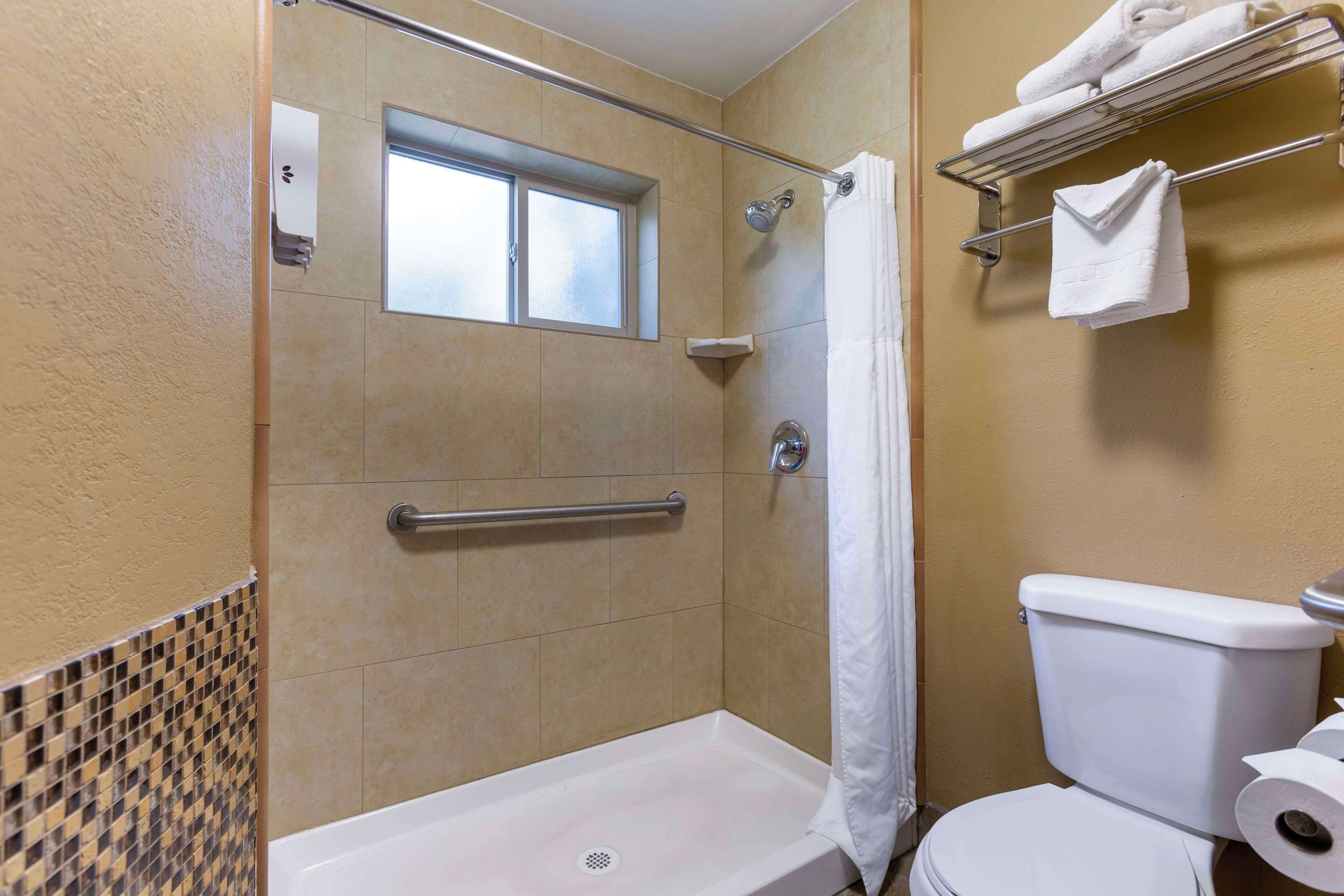 standard room, 1 king bed, accessible, non smoking (walk-in shower) | bathroom | shower, free toiletries, hair dryer, towels