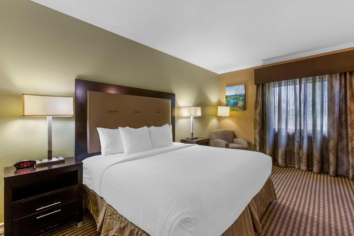 Desk, blackout curtains, iron/ironing board, free WiFi