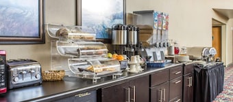 Lifestyle Inn Cedar Falls