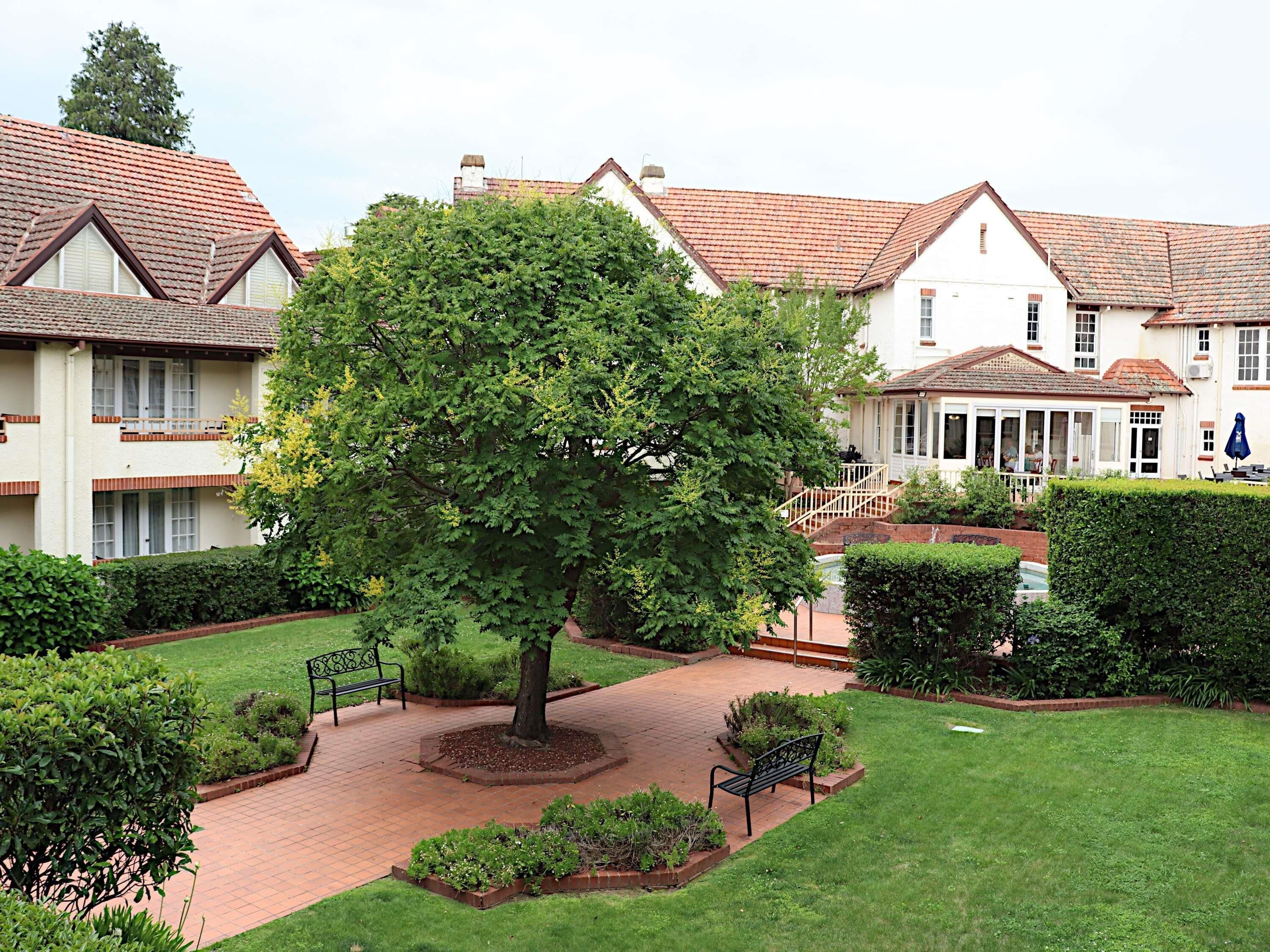 A courtyard with a large tree, a brick pathway, and a bench.