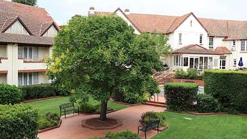 A courtyard with a large tree, a brick pathway, and a bench.