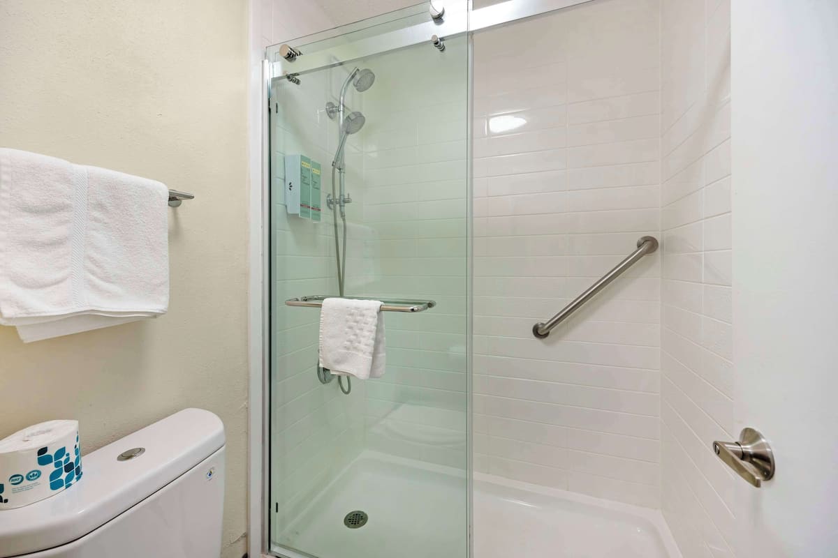 Combined shower/bathtub, hair dryer, towels