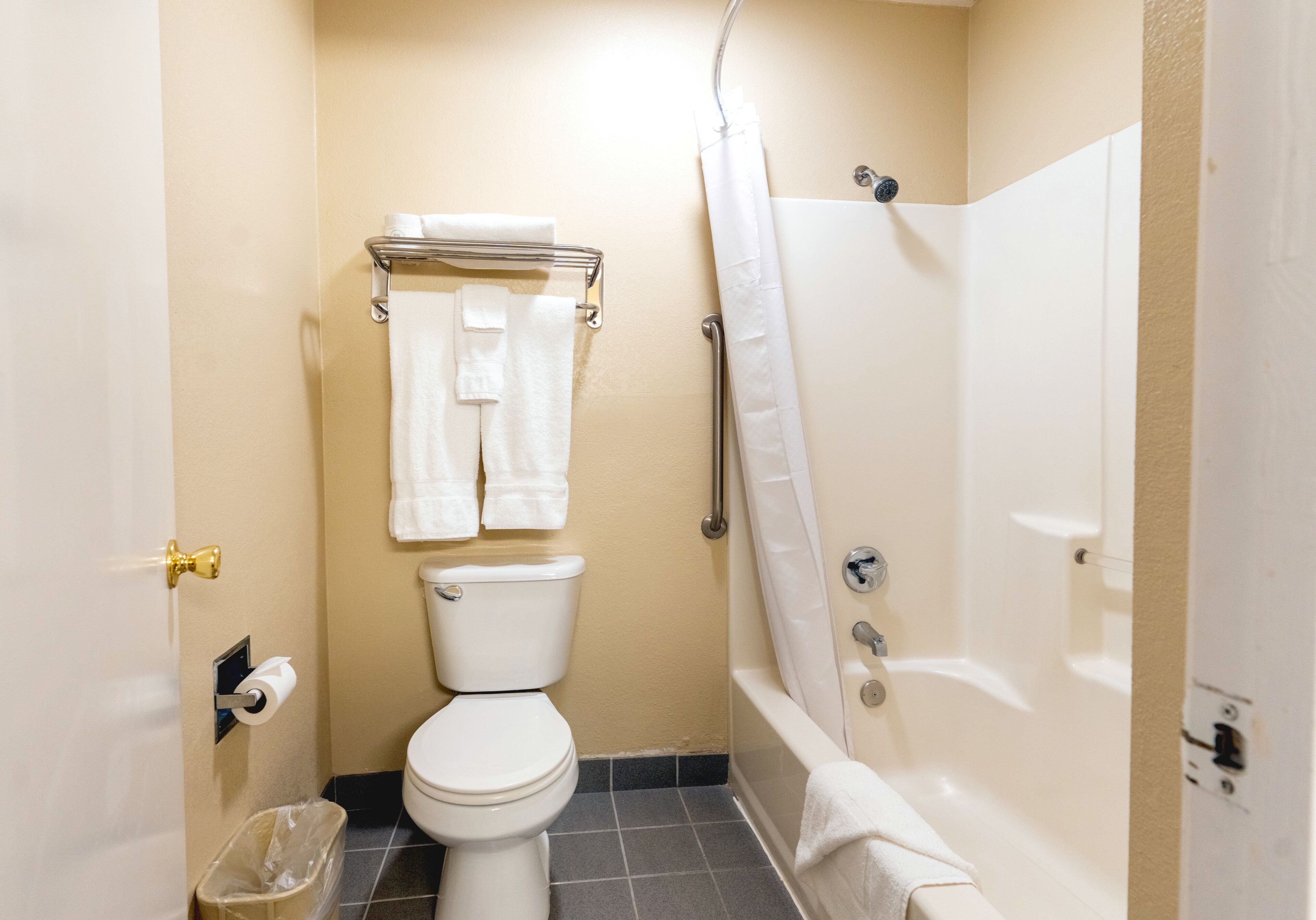 A small, clean bathroom with a toilet, a shower, and a towel rack.