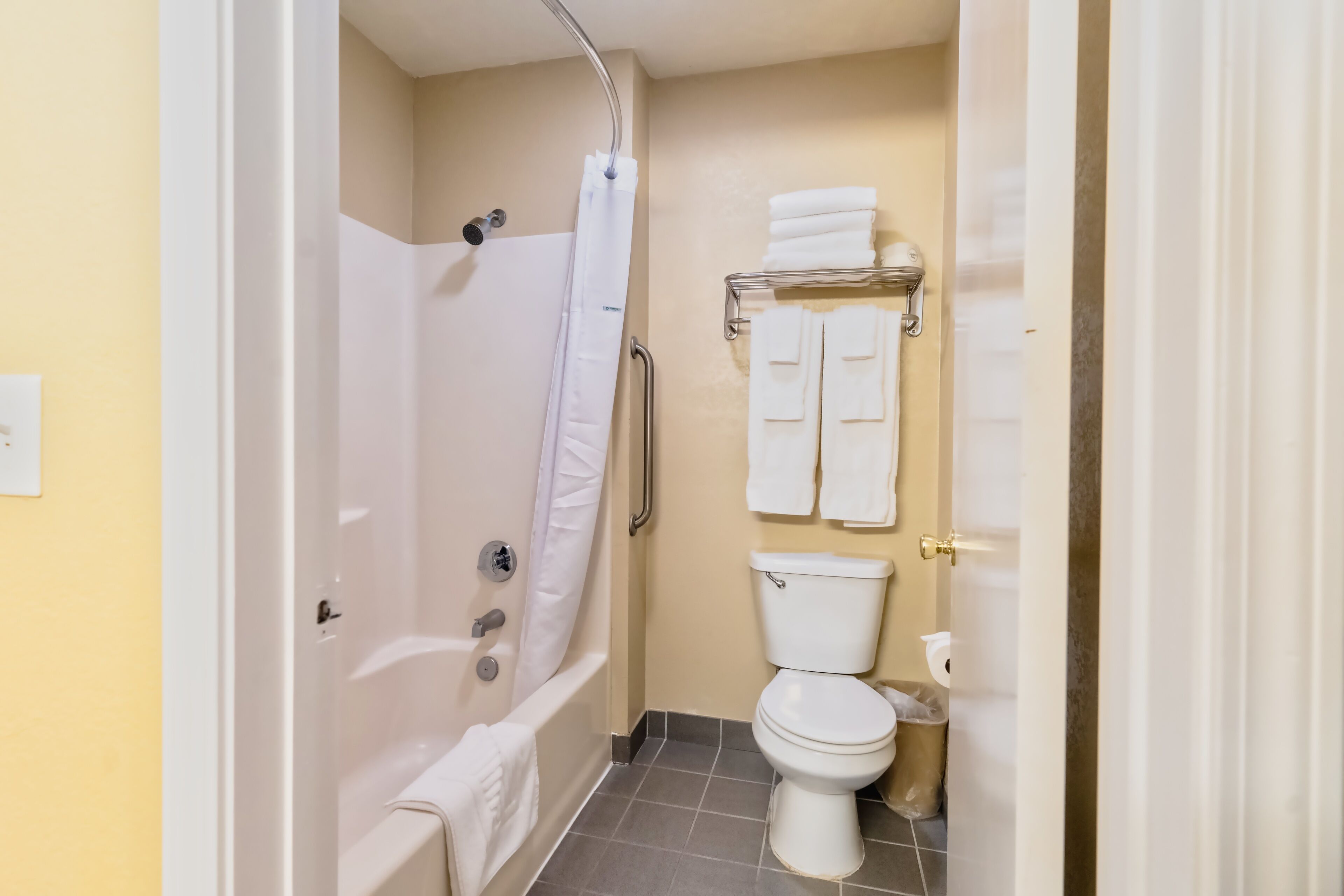combined shower/bathtub, free toiletries, hair dryer, towels