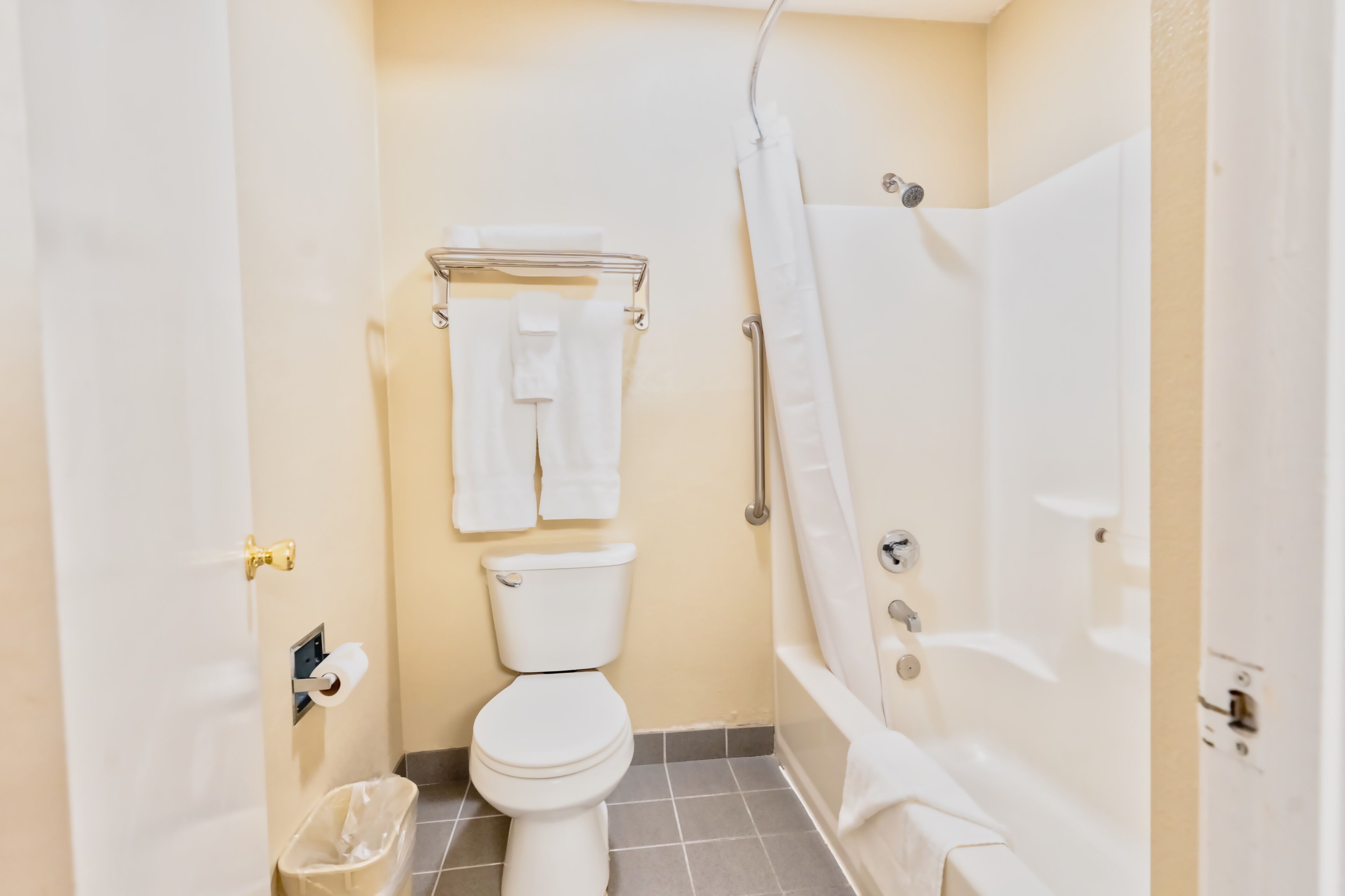 combined shower/bathtub, free toiletries, hair dryer, towels