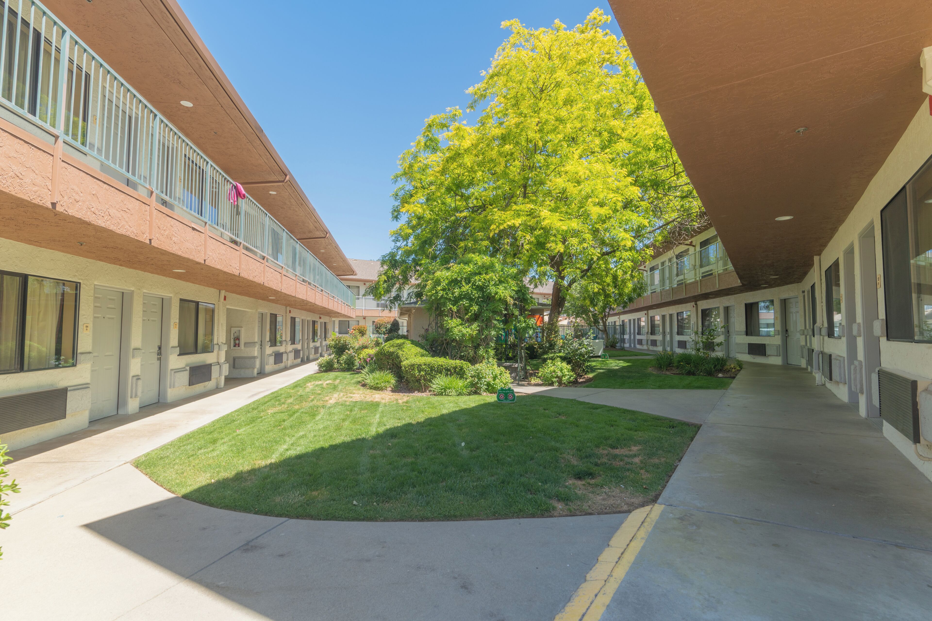 A courtyard with a central lawn, surrounding buildings with balconies, and a large tree.