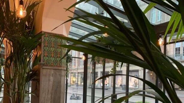 Ein Café mit großen Fenstern, Zimmerpflanzen und einem gemusterten Boden.
