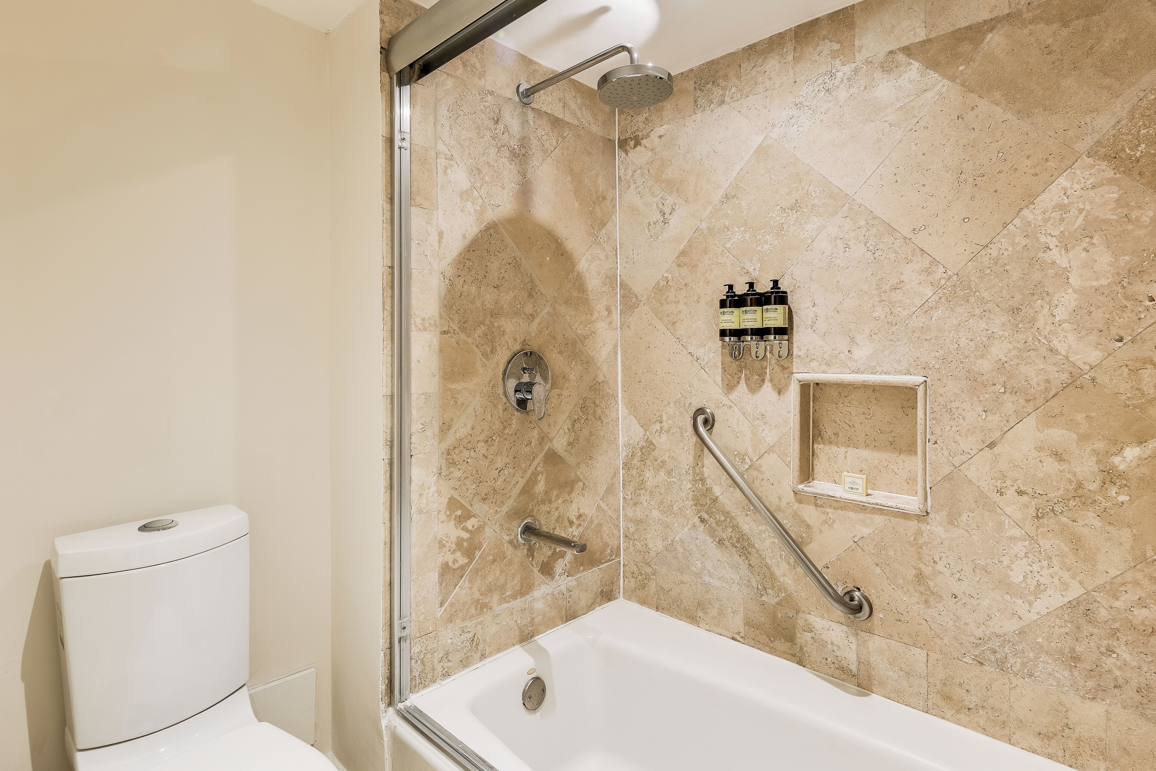Baño con ducha, inodoro y barras de apoyo.