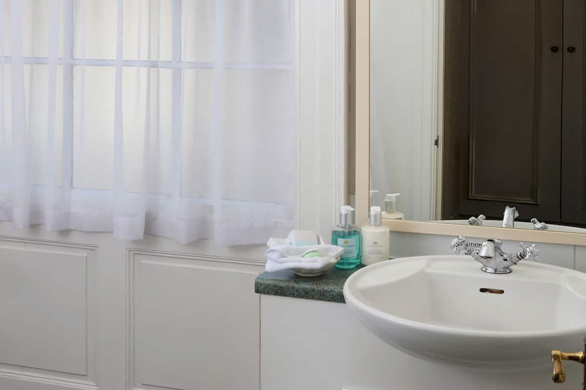 superior room, 1 double bed, non smoking | bathroom | designer toiletries, hair dryer, towels, soap