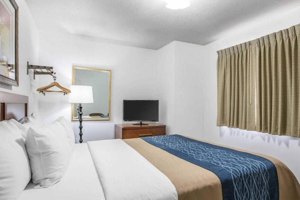 A hotel room with a bed, a television, a dresser, a mirror, and a window with curtains.