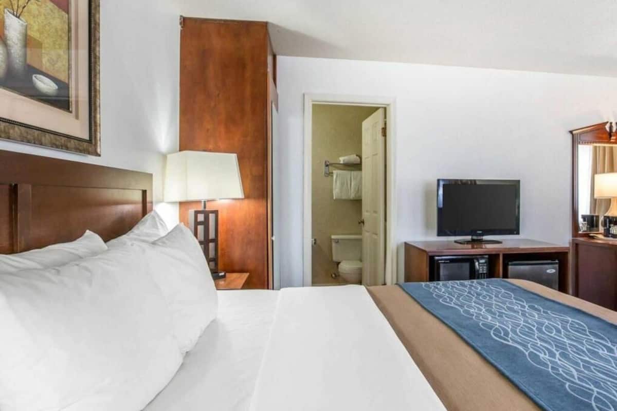 Iron/ironing board, free WiFi, bed sheets