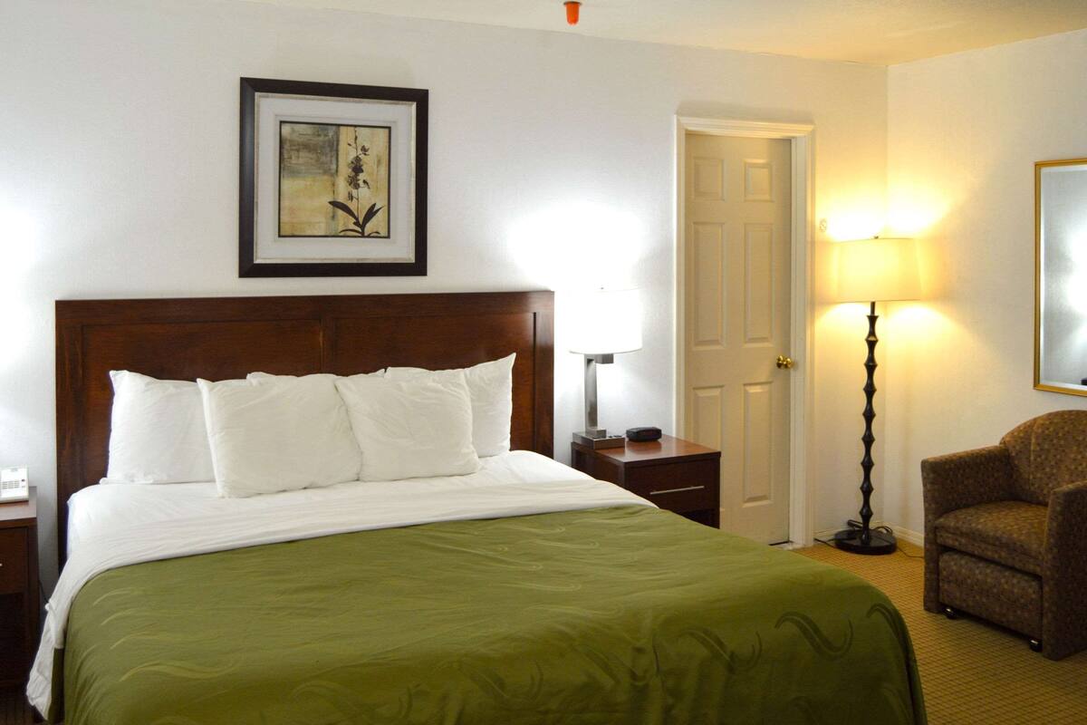 Standard Room, 1 King Bed, Non Smoking | Iron/ironing board, WiFi (free), bed sheets
