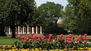 A formal garden with a large building in the background, featuring a symmetrical design with columns and a fountain.