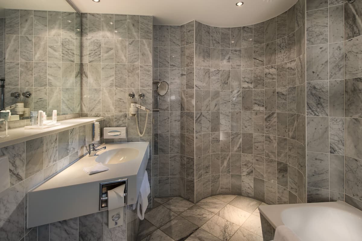 suite (palais) | bathroom | combined shower/bathtub, eco-friendly toiletries, hair dryer, towels