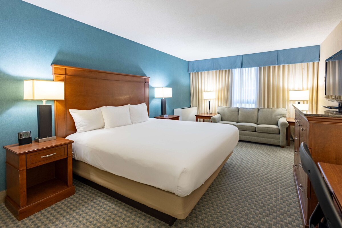 A hotel room with a large bed, a sofa, a desk, and a TV.