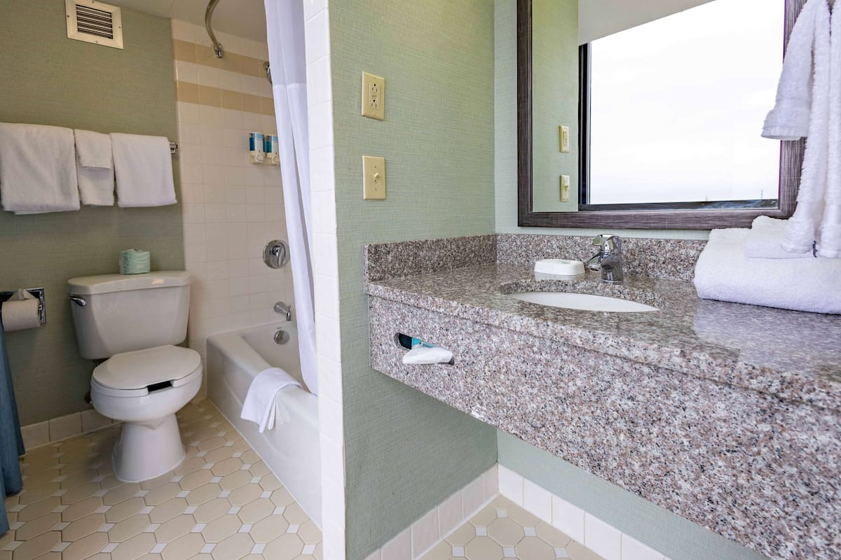 combined shower/bathtub, free toiletries, hair dryer, towels