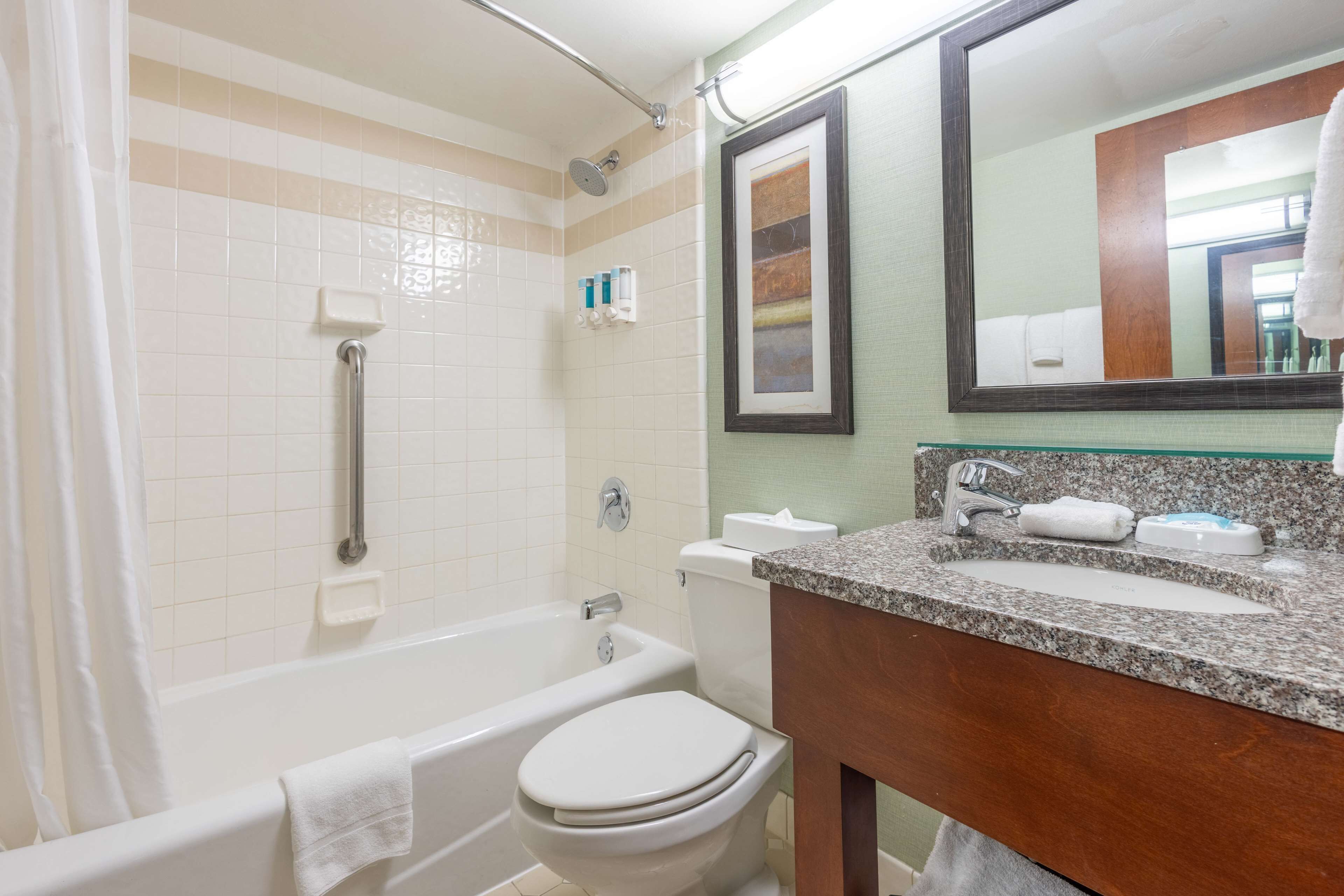 combined shower/bathtub, free toiletries, hair dryer, towels