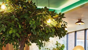 Un sofá azul turquesa con cojines estampados, una mesita pequeña y una planta en un vestíbulo moderno con listones de madera y un mostrador de recepción.