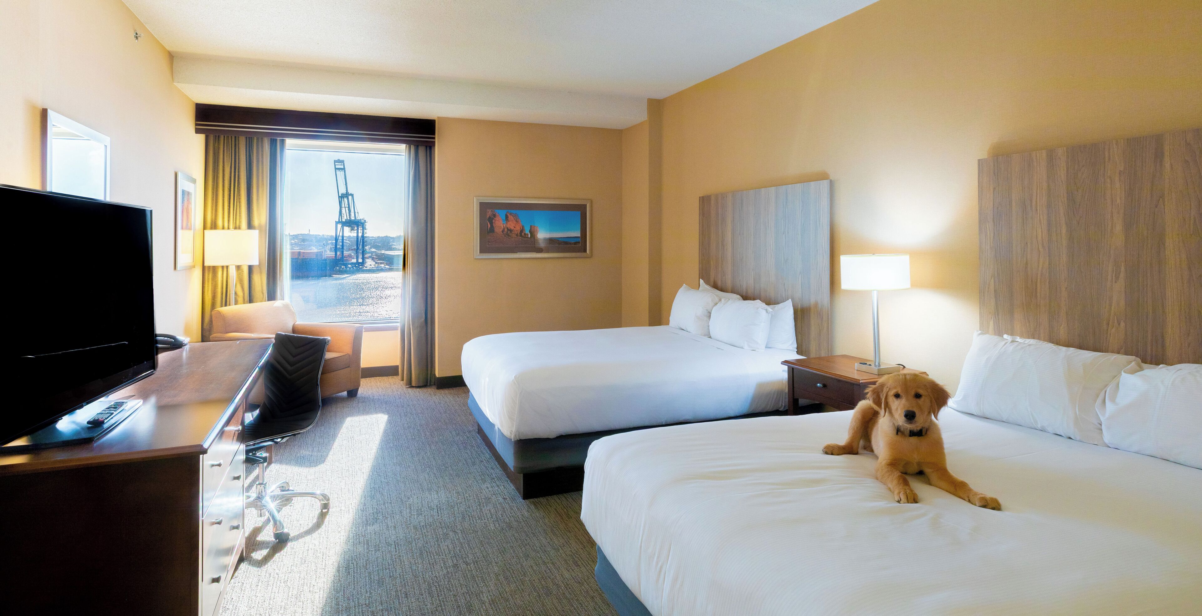 A hotel room with two beds, a TV, a desk, and a view of a bridge.