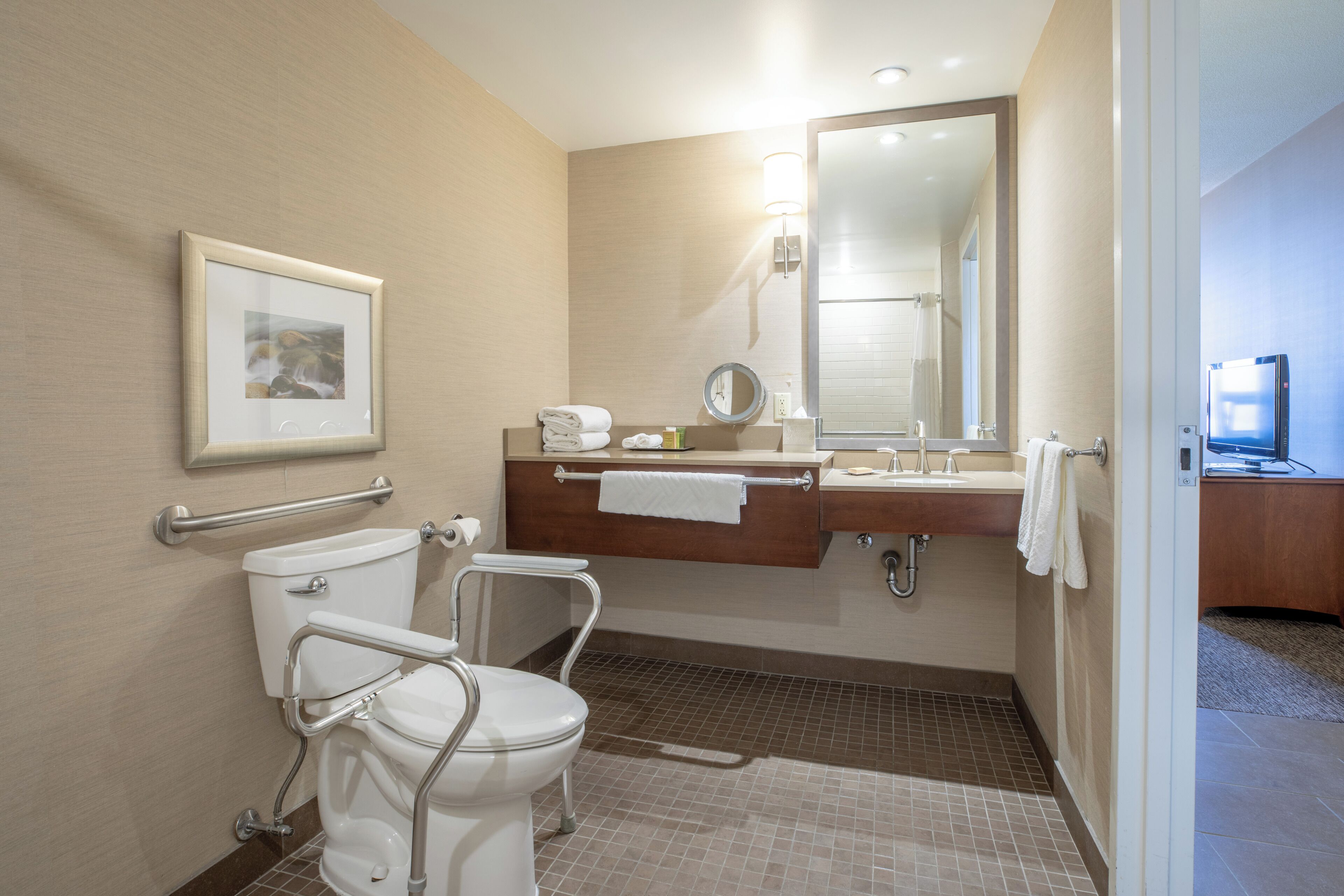 A bathroom with a toilet, handrail, sink, mirror, towel rack, and a framed picture on the wall.