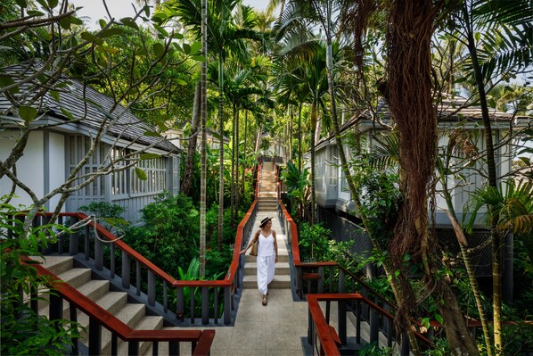 A staircase surrounded by lush greenery, leading to a building with a traditional architectural style. - The Surin Phuket (Choeng Thale)