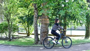 Una persona montando en bicicleta por un sendero pavimentado en un parque con árboles y un poste de madera.