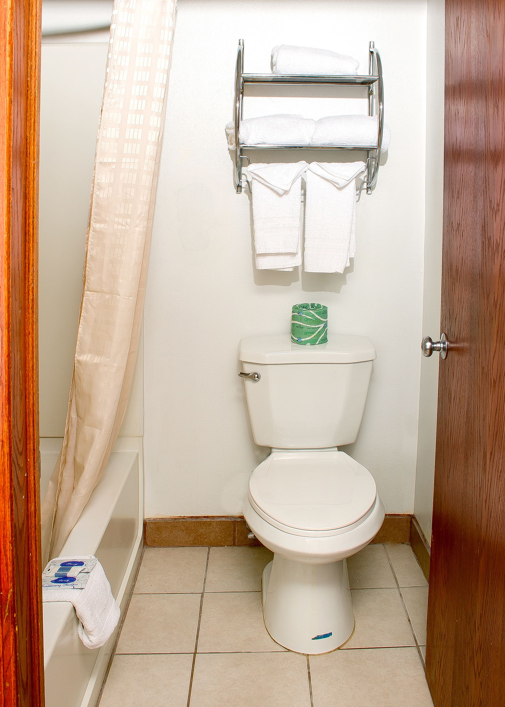 A bathroom with a toilet, a towel rack, and a shower curtain.