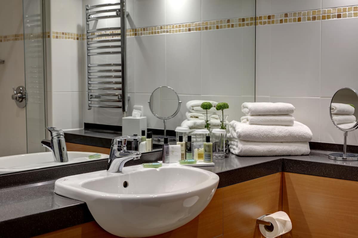 combined shower/bathtub, free toiletries, hair dryer, towels