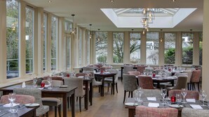 A restaurant with multiple tables and chairs, large windows, and a skylight.
