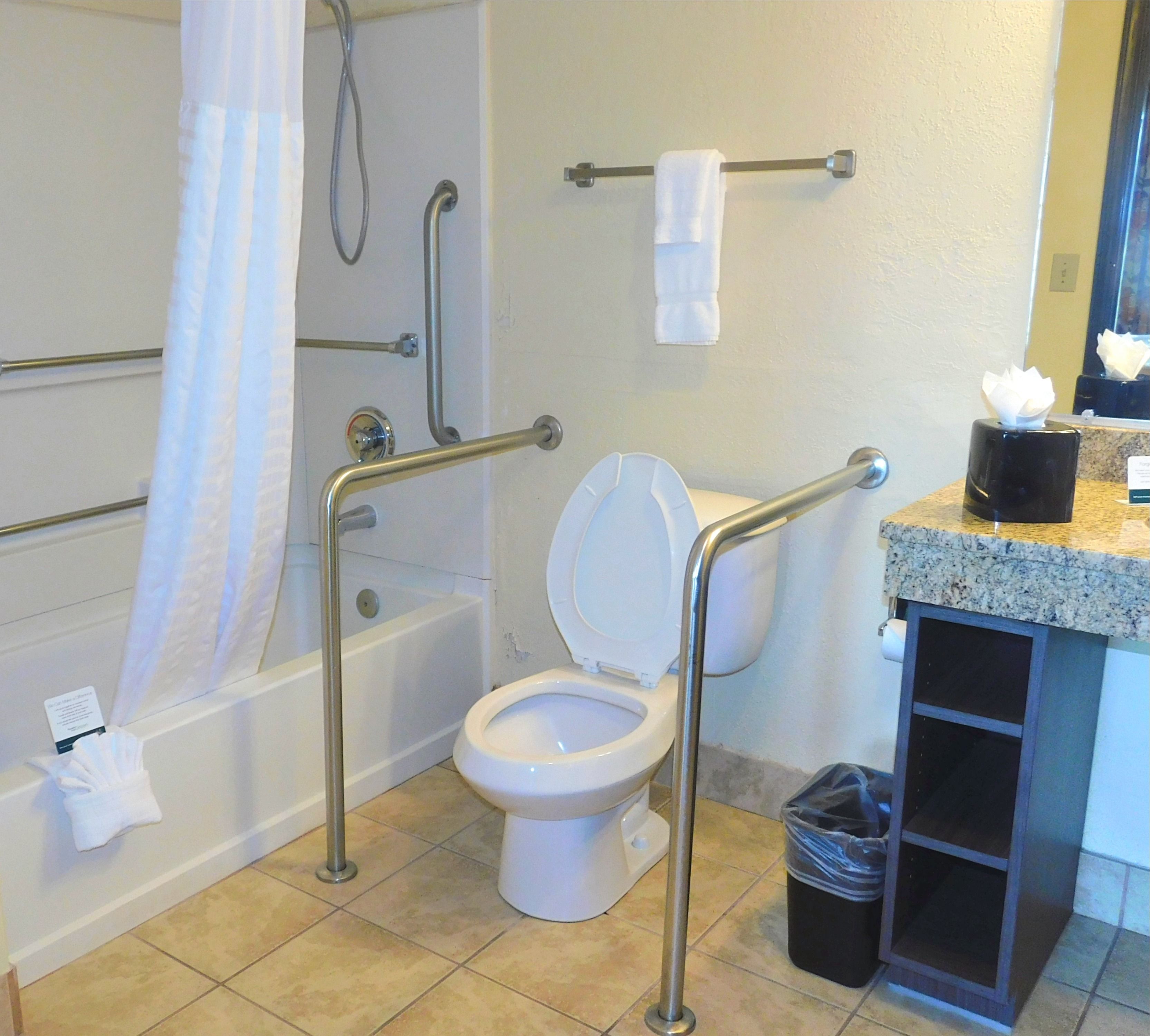 premium bedding, in-room safe, iron/ironing board, free wifi