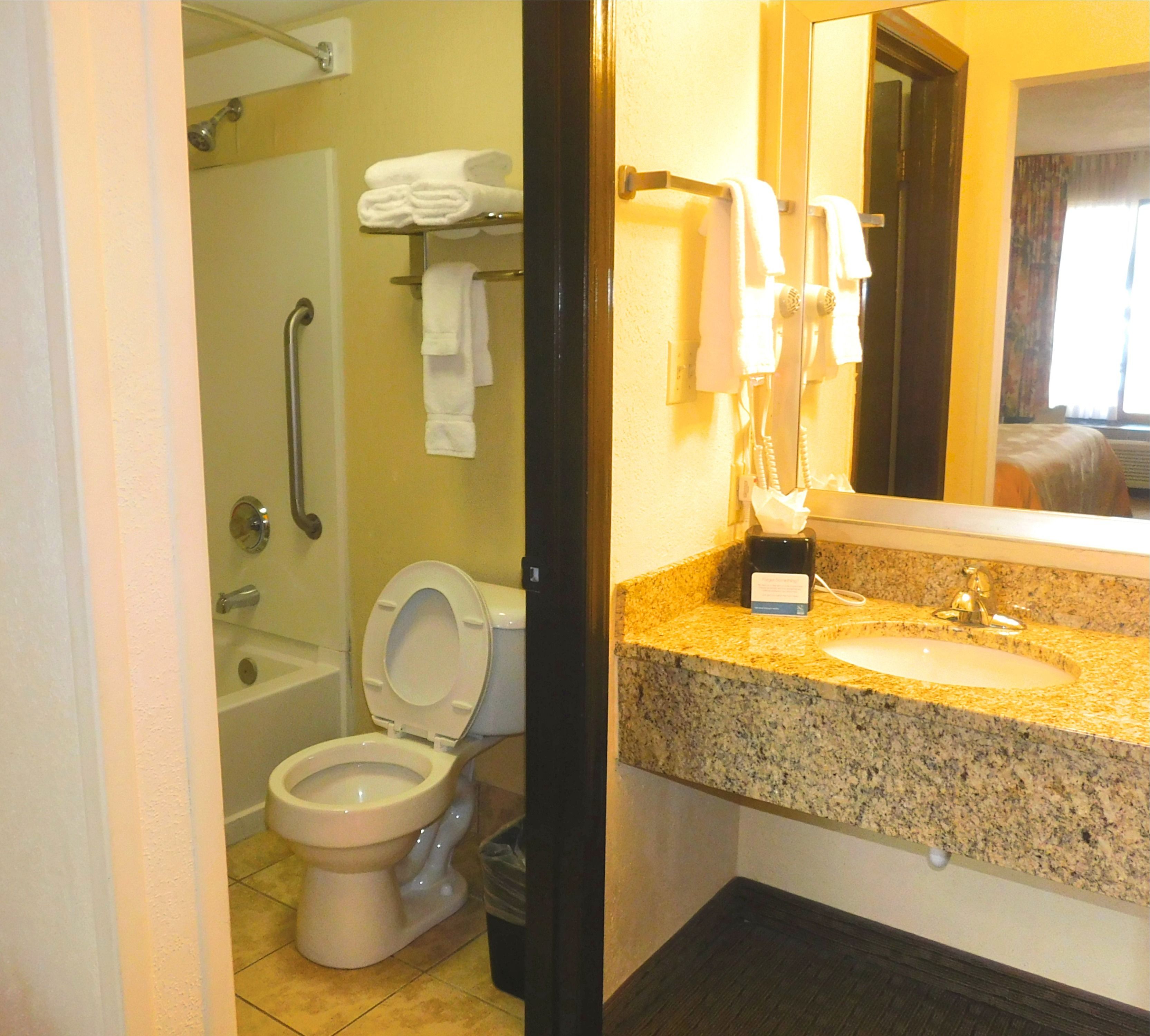 combined shower/bathtub, free toiletries, hair dryer, towels