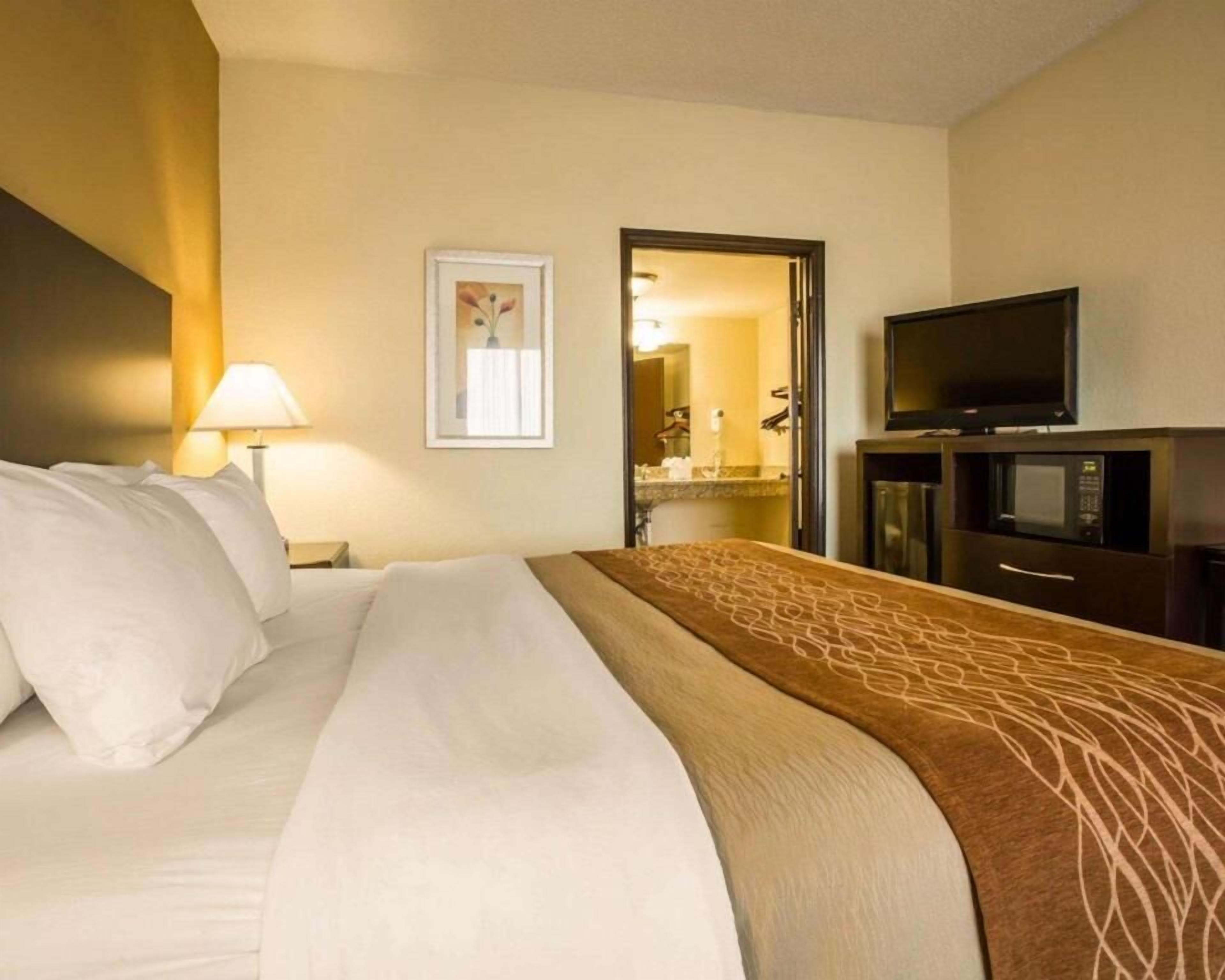 Premium bedding, in-room safe, iron/ironing board, free WiFi