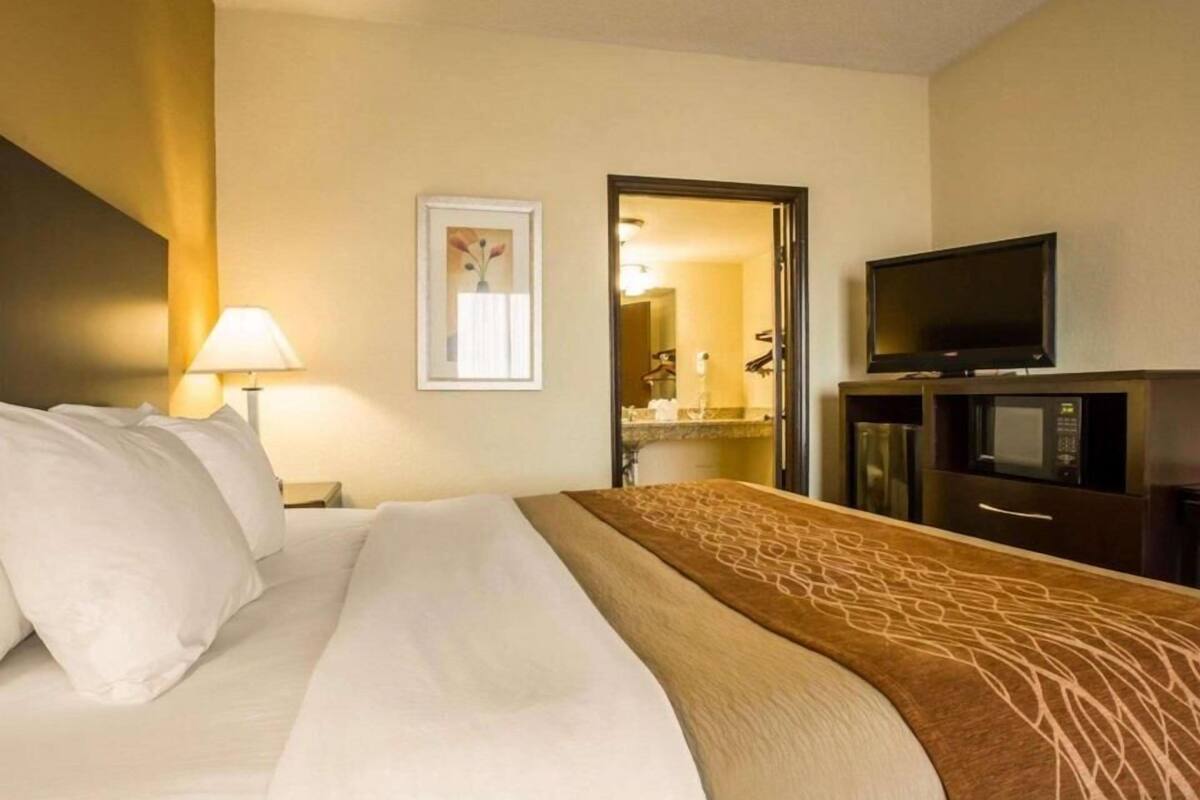 Premium bedding, in-room safe, iron/ironing board, free WiFi