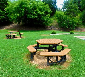 BBQ/picnic Area