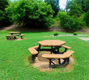 BBQ/picnic area