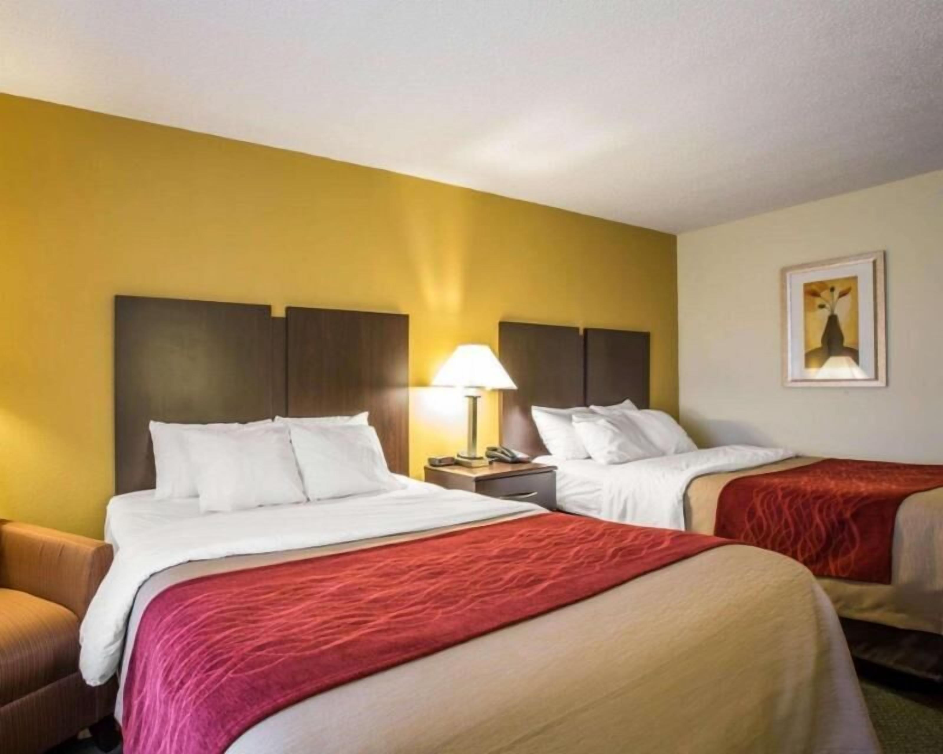 Premium bedding, in-room safe, iron/ironing board, free WiFi