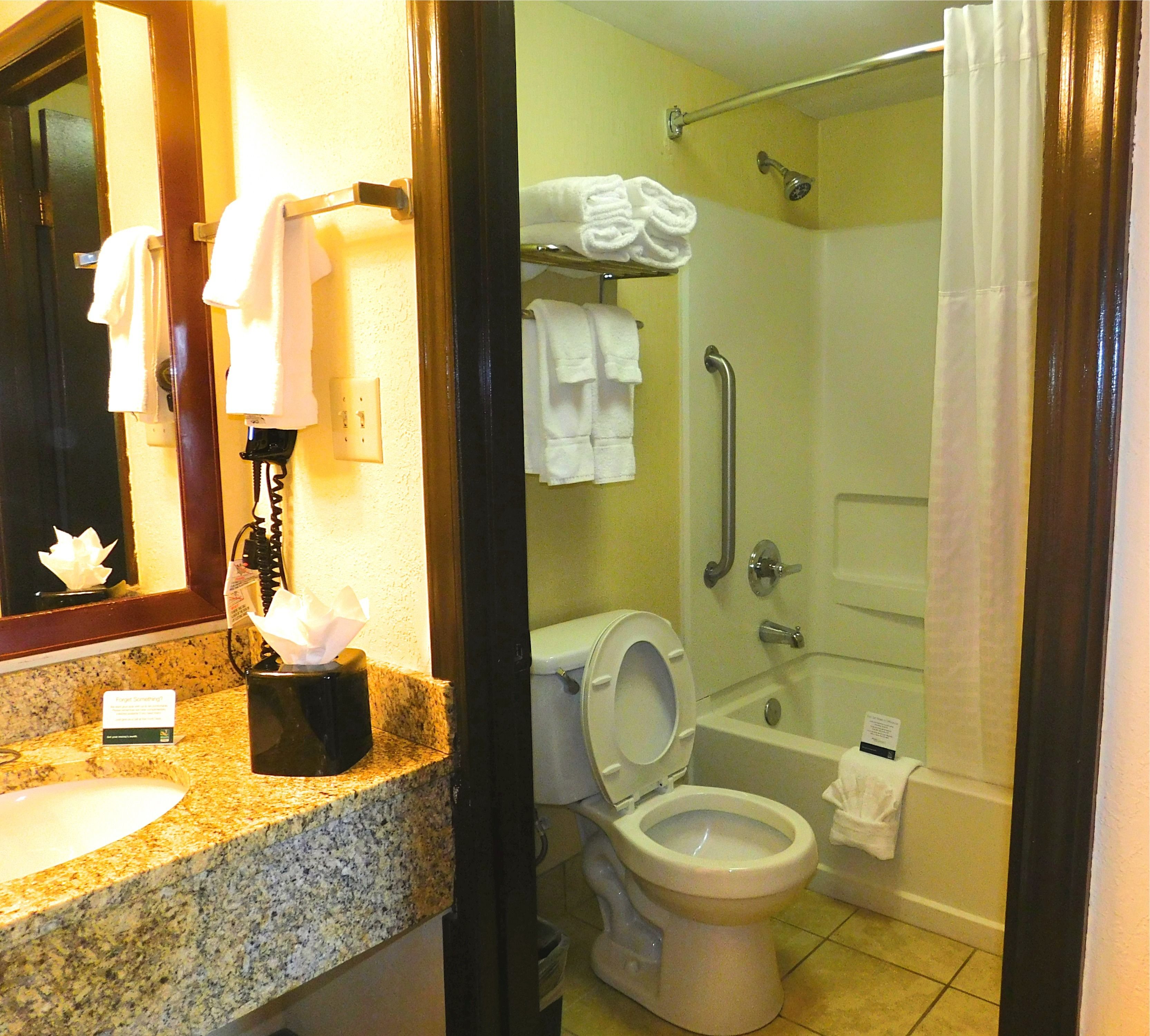 combined shower/bathtub, free toiletries, hair dryer, towels