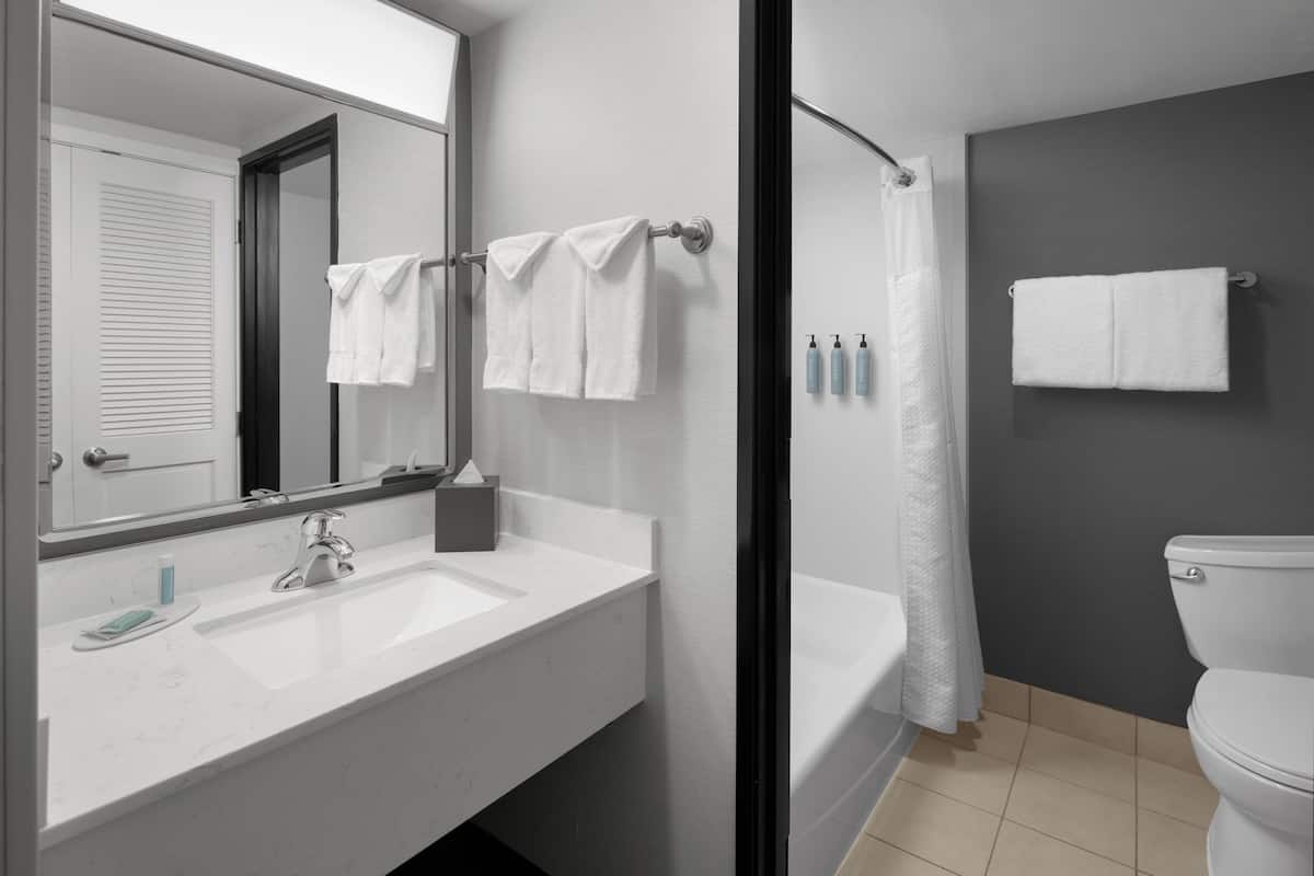 Combined shower/bathtub, free toiletries, hair dryer, towels